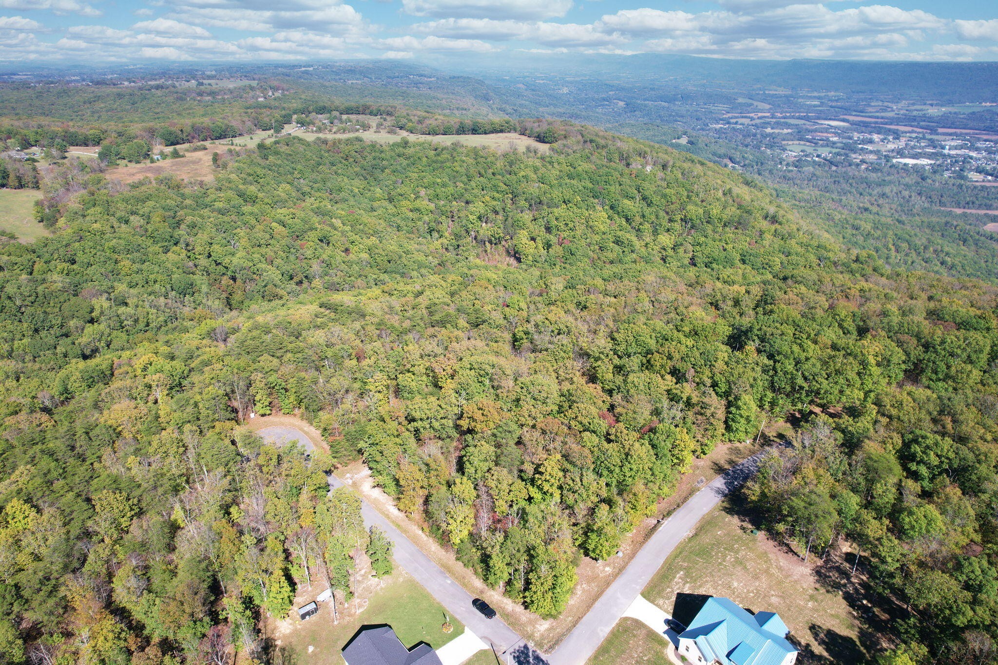 0 Timber View Road Pikeville, TN 37367 - Photo 4 of 14 a view of a yard