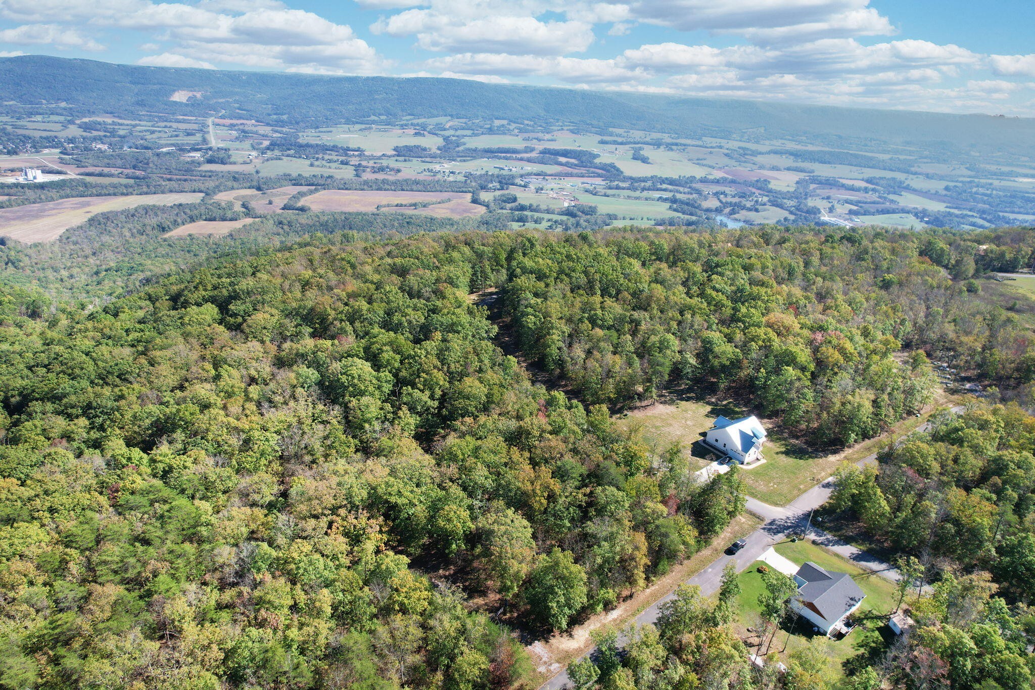 0 Timber View Road Pikeville, TN 37367 - Photo 6 of 14 a view of a pathway with a yard