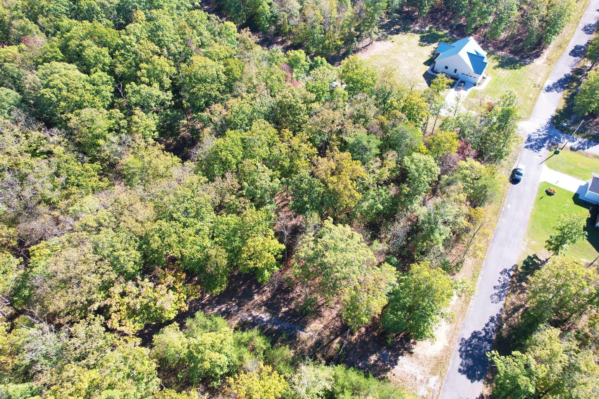 0 Timber View Road Pikeville, TN 37367 - Photo 9 of 14 a view of a garden with plants