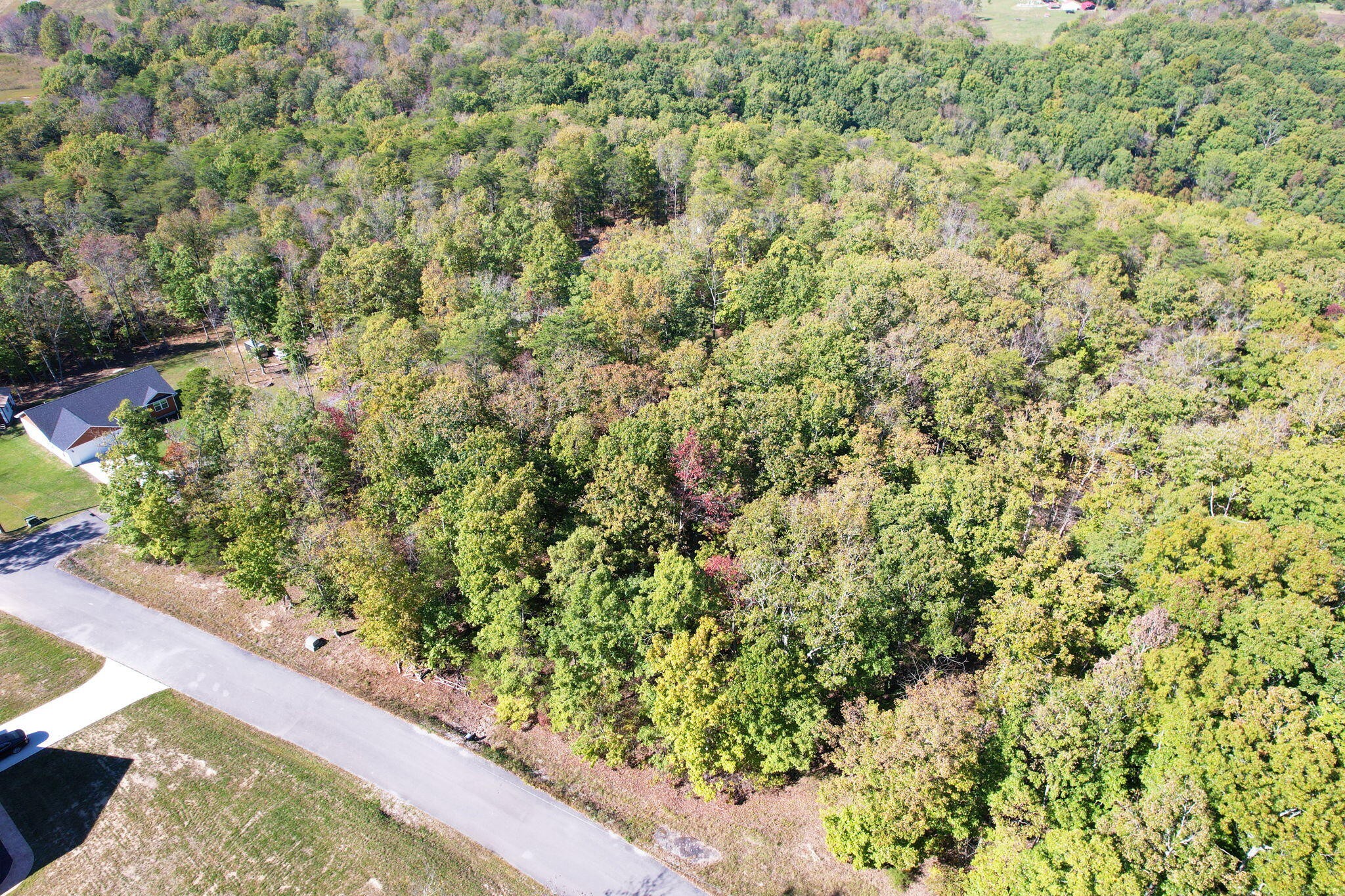 0 Timber View Road Pikeville, TN 37367 - Photo 10 of 14 a view of a garden with a plant