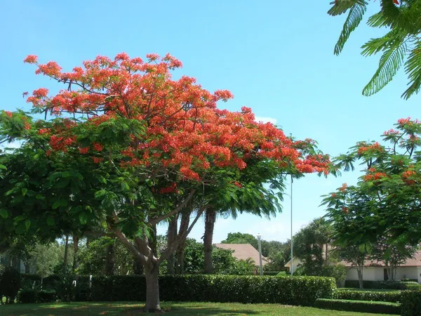 $2,500 | 3236 32nd Court, Jupiter, FL 33477