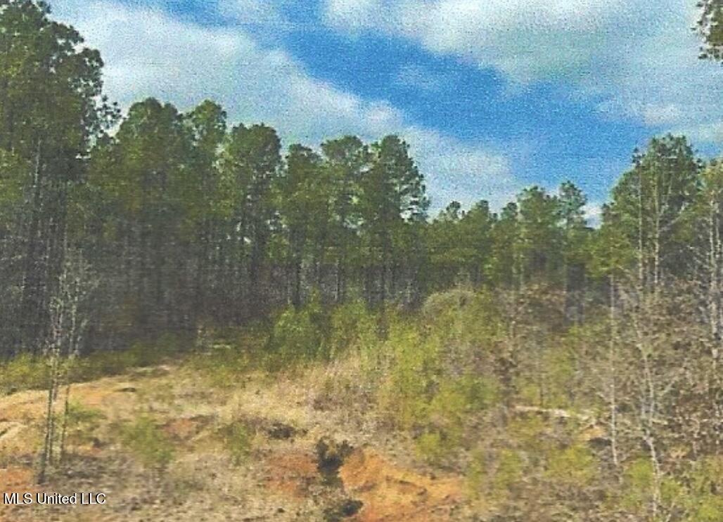 Attala County Kosciusko, MS 39090 - Photo 11 of 16 IMG_3694