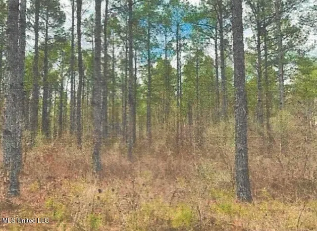 $799,900 | Attala County, Kosciusko, MS 39090