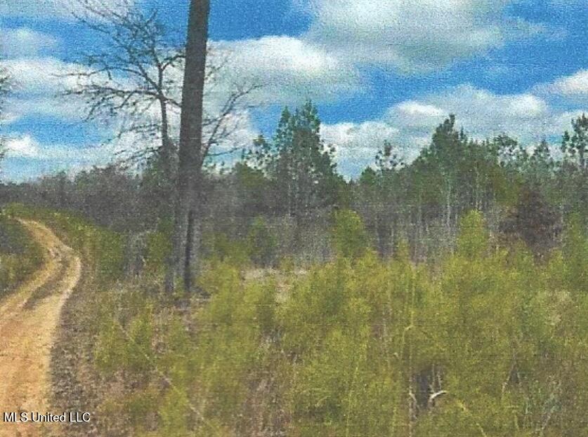 Attala County Kosciusko, MS 39090 - Photo 13 of 16 IMG_3689