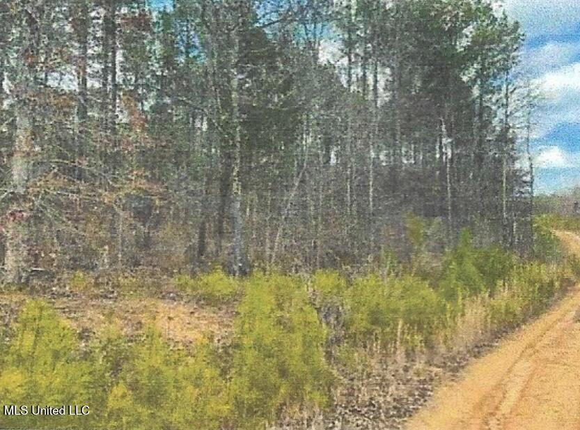 Attala County Kosciusko, MS 39090 - Photo 14 of 16 IMG_3690