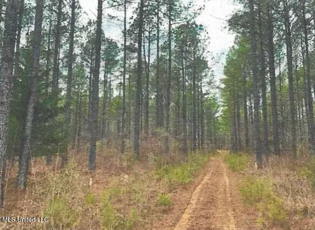 $799,900 | Attala County, Kosciusko, MS 39090