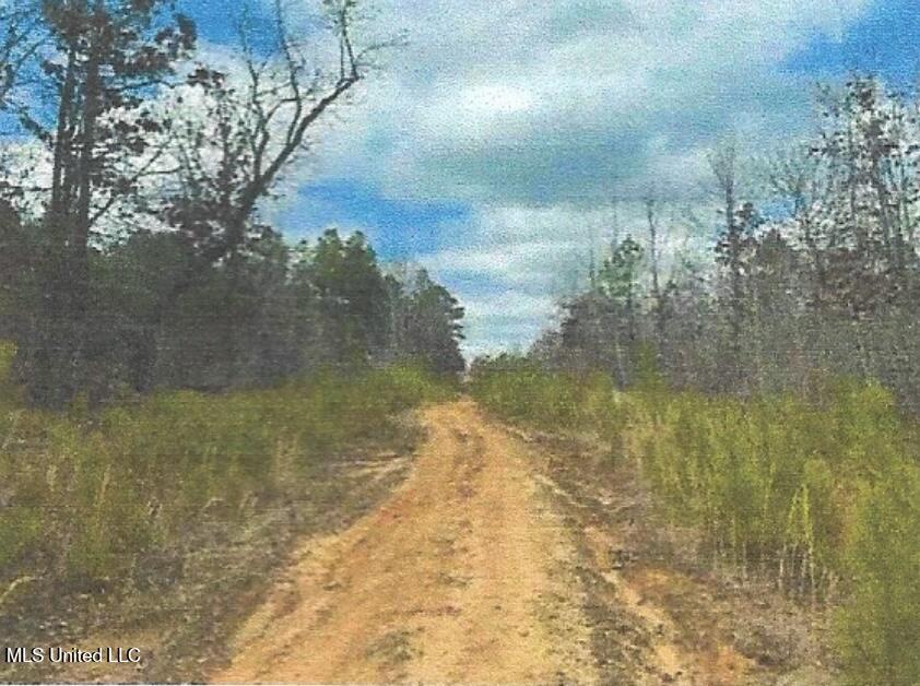 Attala County Kosciusko, MS 39090 - Photo 16 of 16 IMG_3692