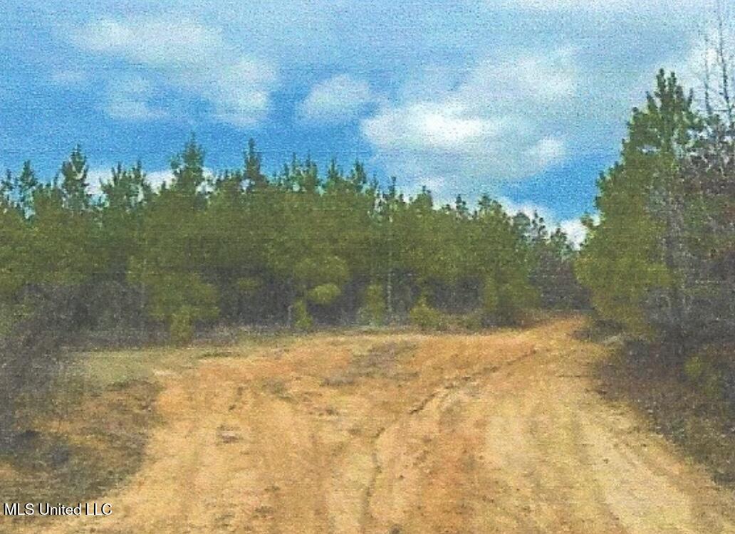 Attala County Kosciusko, MS 39090 - Photo 3 of 16 IMG_3701