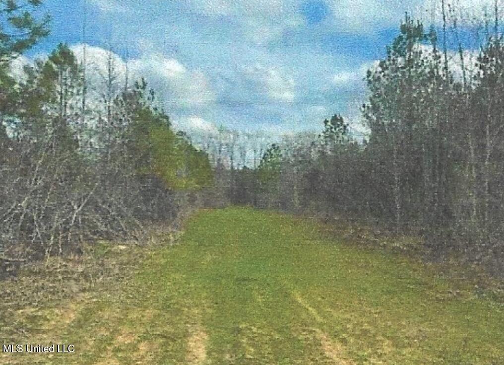 Attala County Kosciusko, MS 39090 - Photo 4 of 16 IMG_3698