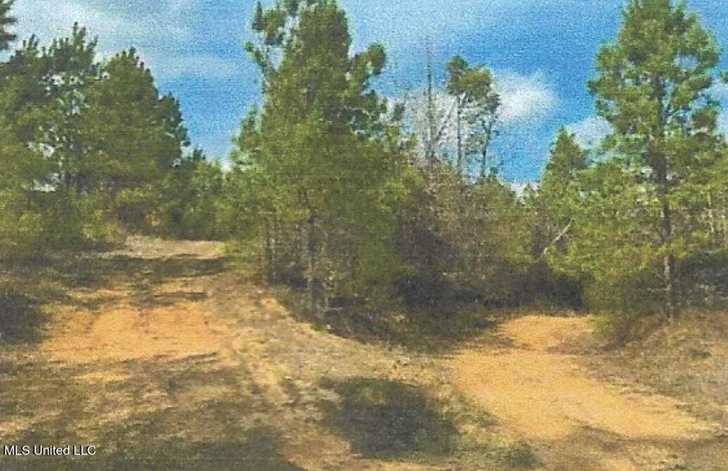 Attala County Kosciusko, MS 39090 - Photo 5 of 16 IMG_3699