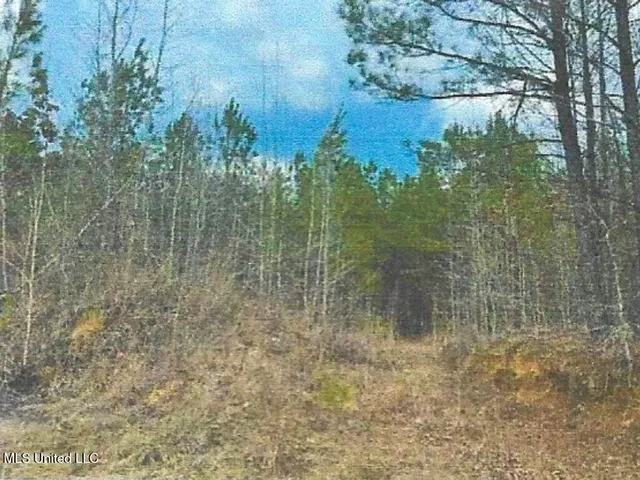 $799,900 | Attala County, Kosciusko, MS 39090