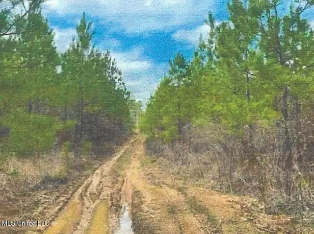 $799,900 | Attala County, Kosciusko, MS 39090