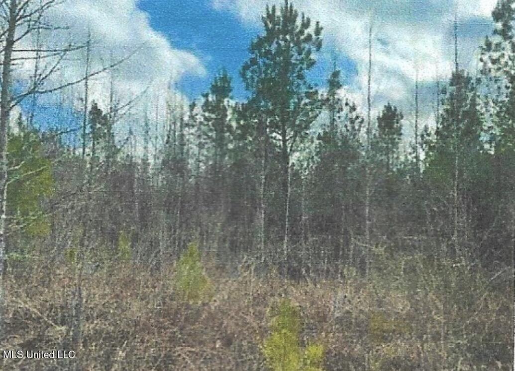 Attala County Kosciusko, MS 39090 - Photo 8 of 16 IMG_3697