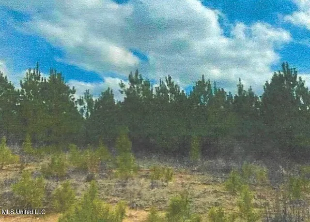 $799,900 | Attala County, Kosciusko, MS 39090