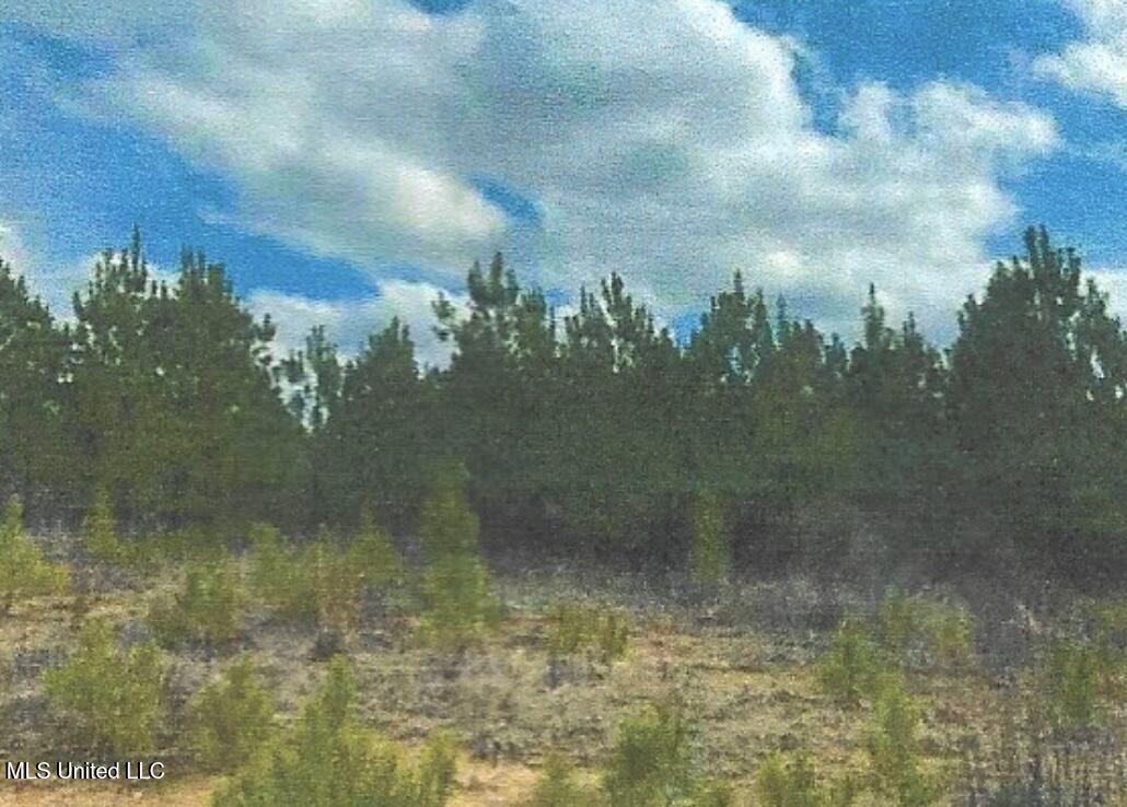 Attala County Kosciusko, MS 39090 - Photo 9 of 16 IMG_3696