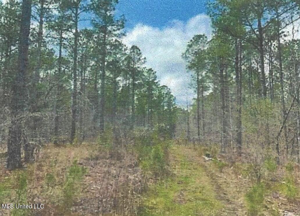 Attala County Kosciusko, MS 39090 - Photo 10 of 16 IMG_3695