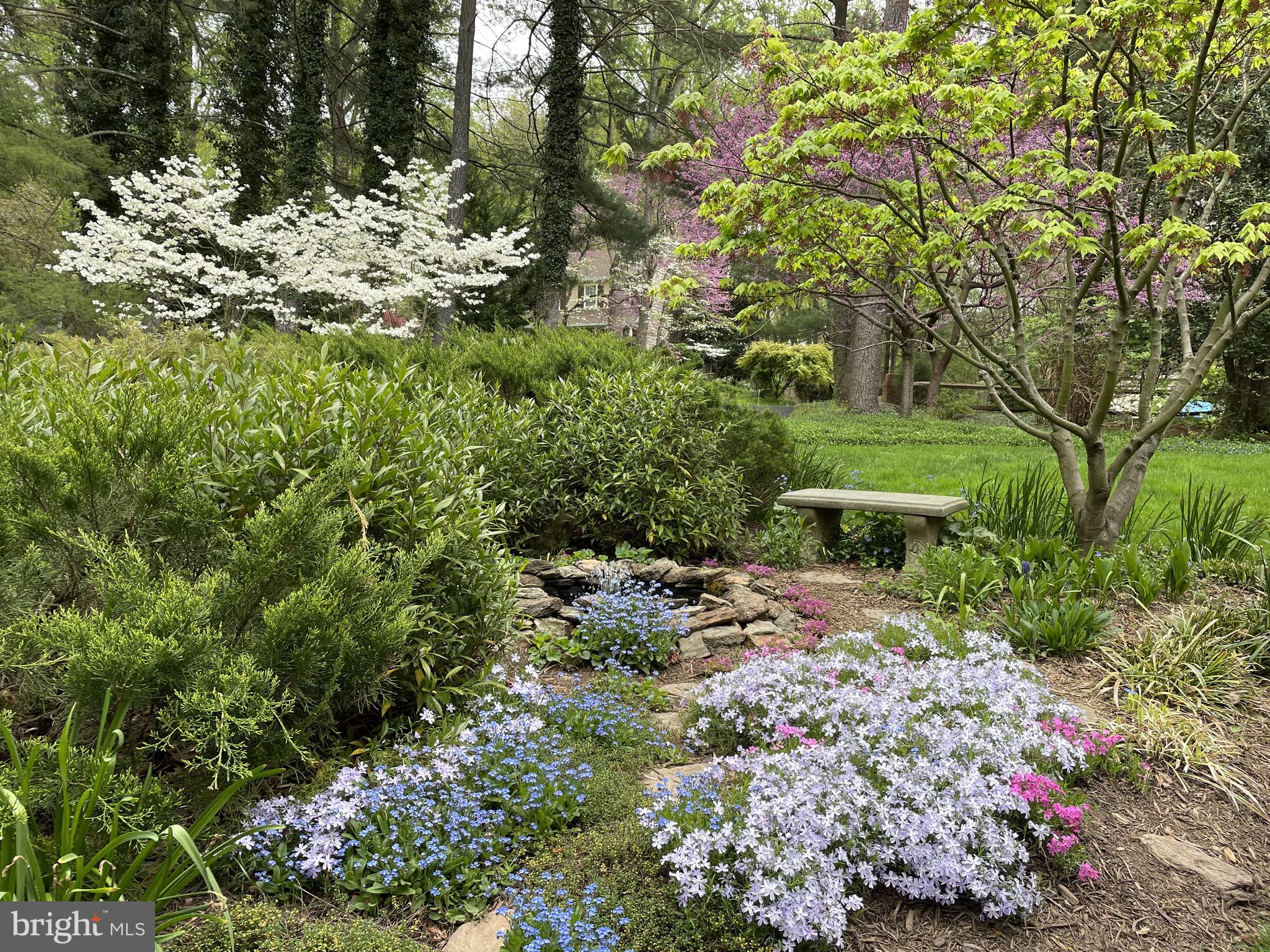 11700 Beekman Place Potomac, MD 20854 - Photo 38 of 44 Gorgeous Rear Yard surrounded by Mature Plantings