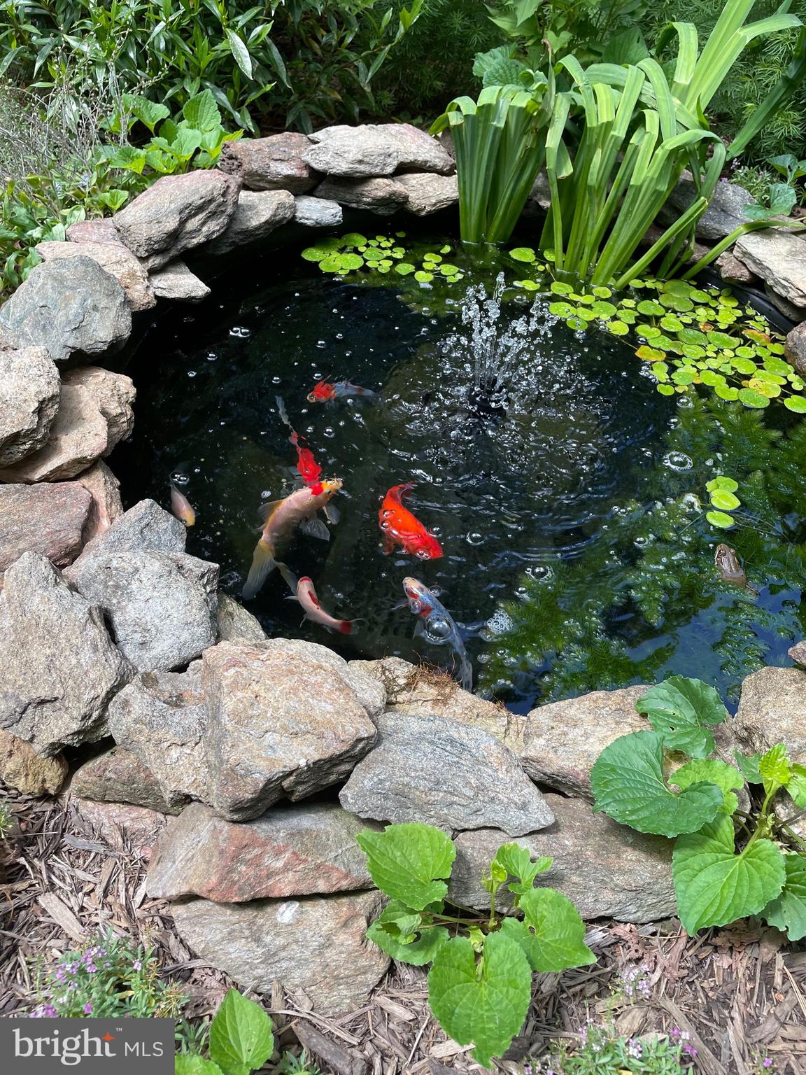 11700 Beekman Place Potomac, MD 20854 - Photo 40 of 44 Stunning and Idyllic Rear Yard Stone Pond