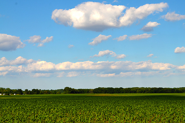 0 18th Road Ottawa, IL 61350 - Photo 13 of 13