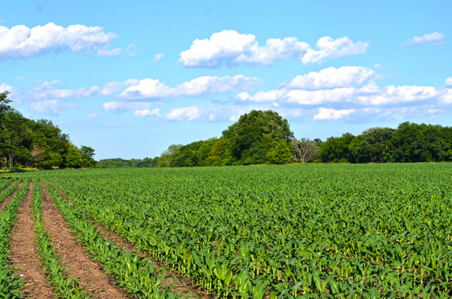 0 18th Road Ottawa, IL 61350 - Photo 5 of 13