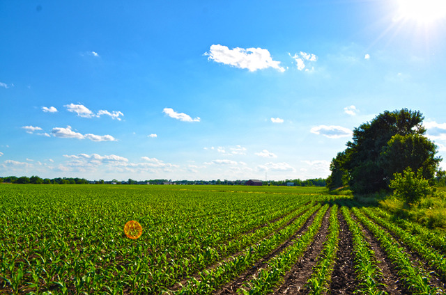 0 18th Road Ottawa, IL 61350 - Photo 7 of 13