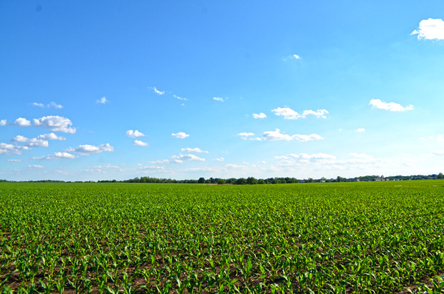 0 18th Road Ottawa, IL 61350 - Photo 8 of 13