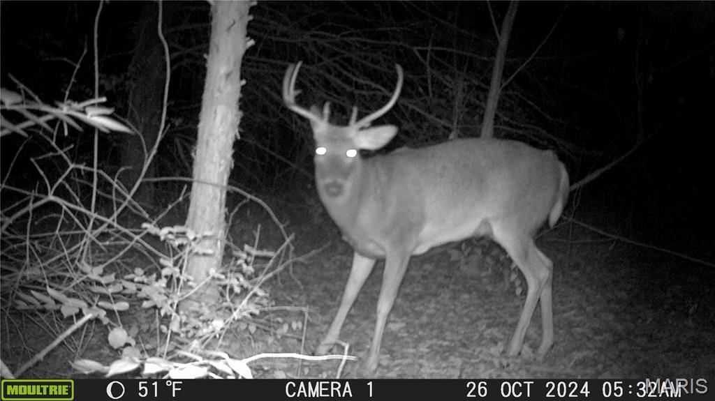 394 Jacks Road Troy, MO 63379 - Photo 71 of 74
