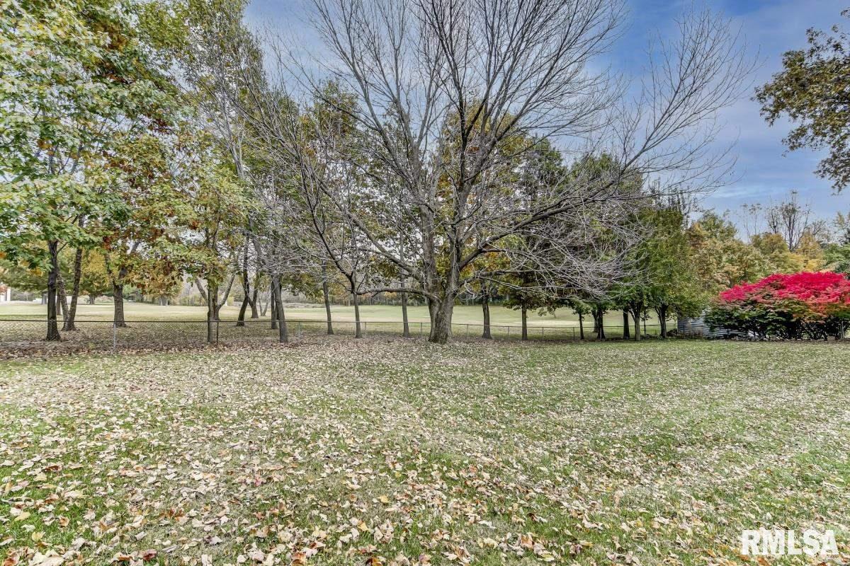14558 Dixon Road Auburn, IL 62615 - Photo 23 of 33 Gallery Image 23
