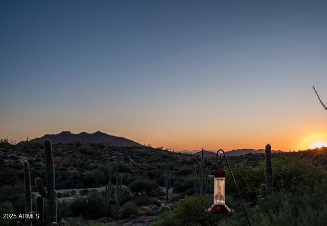 39601 North Ocotillo Ridge Drive Carefree, AZ 85377 - Photo 72 of 81 39601 N Ocotillo Rd Carefree-65