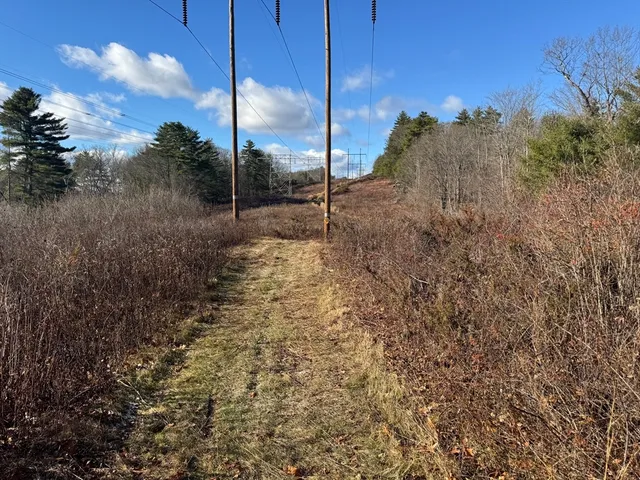 a view of a road with a tree in the background