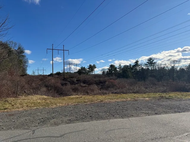 a view of yard with trees