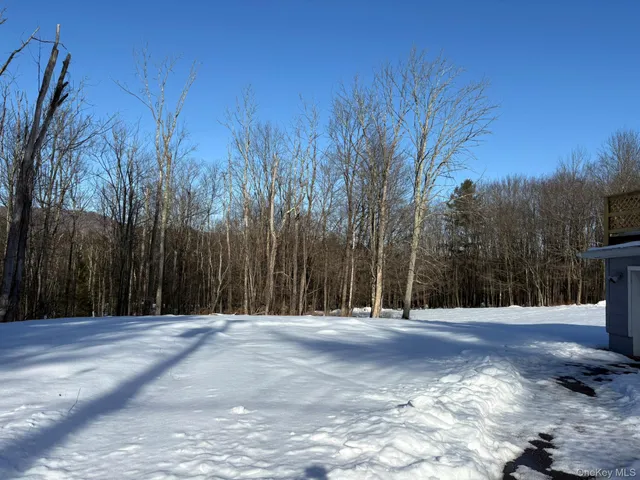 $2,300 | 241 West Lake Street, Liberty, NY 12754