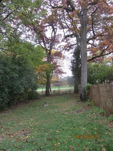 8118 West 26th Street North Riverside, IL 60546 - Photo 2 of 10 a view of a yard with a tree