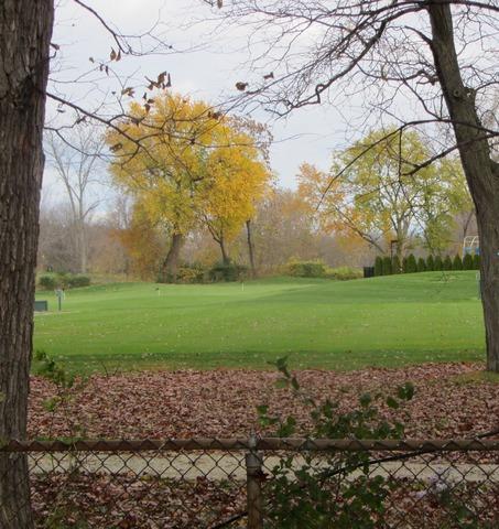 8118 West 26th Street North Riverside, IL 60546 - Photo 3 of 10 a view of a park