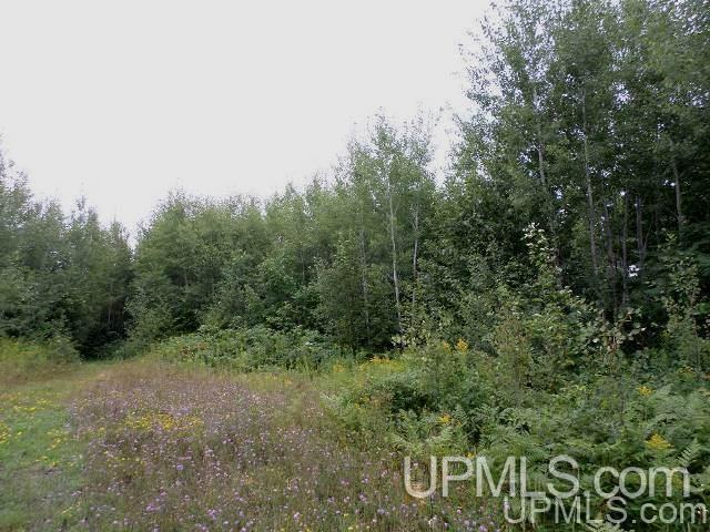 Tbd Valley Road Hurley, WI 54534 - Photo 1 of 6