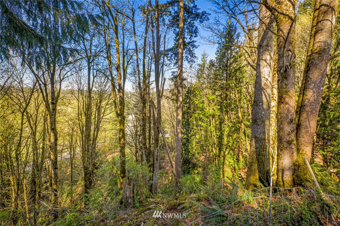 4228 Meins Road Sedro-Woolley, WA 98284 - Photo 5 of 39 Gallery Image 5