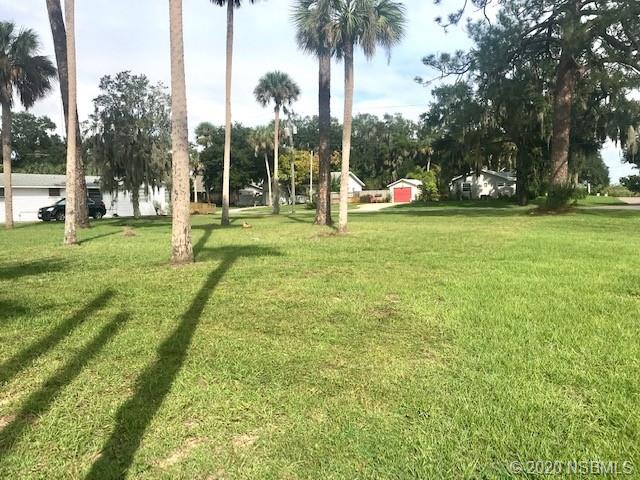 204 Hubbell Street Edgewater, FL 32132 - Photo 8 of 14 a view of yard with swimming pool and green space