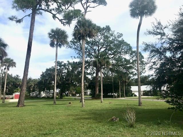 204 Hubbell Street Edgewater, FL 32132 - Photo 10 of 14 a green field with lots of trees