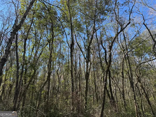 $308,750 | 95 Mt. Sinai Church Road, Butler, GA 31006