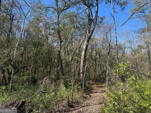 $308,750 | 95 Mt. Sinai Church Road, Butler, GA 31006