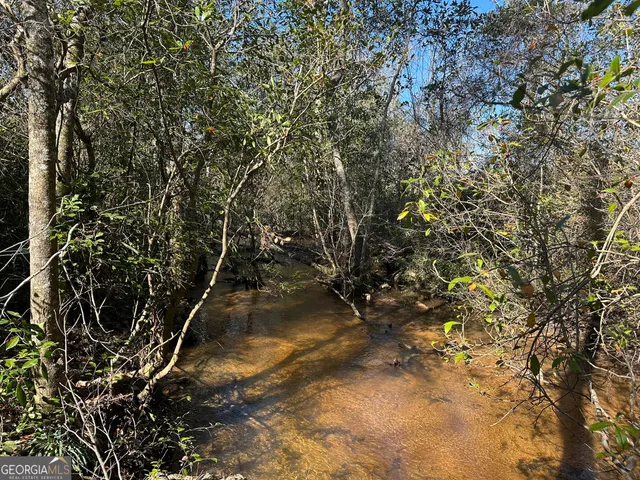 $308,750 | 95 Mt. Sinai Church Road, Butler, GA 31006