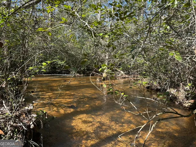 $308,750 | 95 Mt. Sinai Church Road, Butler, GA 31006