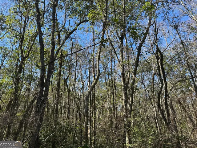 $308,750 | 95 Mt. Sinai Church Road, Butler, GA 31006