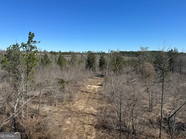 $308,750 | 95 Mt. Sinai Church Road, Butler, GA 31006