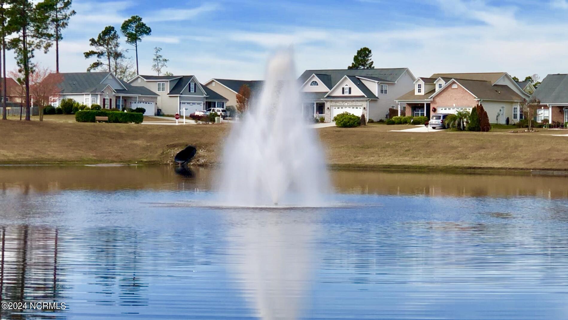 1824 Olive Pine Way Leland, NC 28451 - Photo 60 of 66 WP Fountain