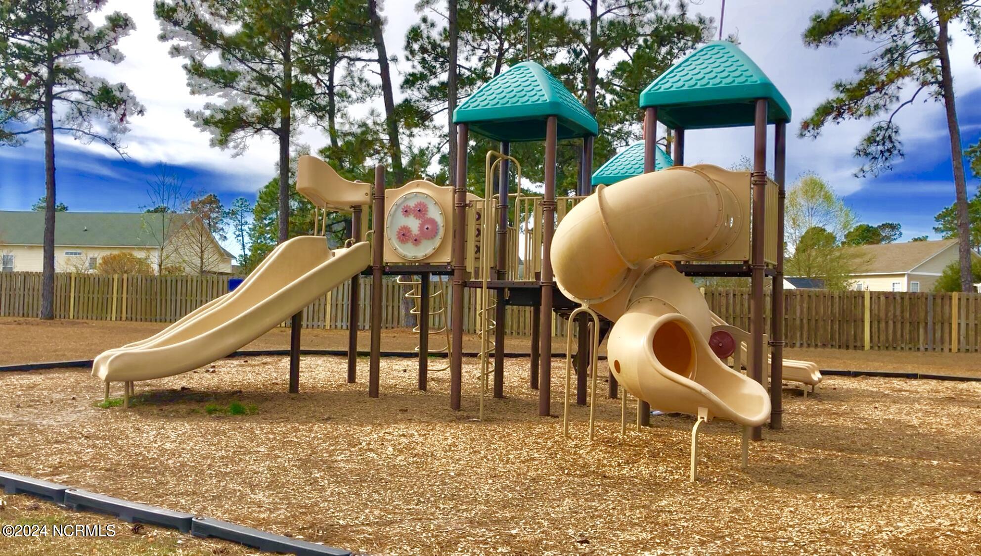 1824 Olive Pine Way Leland, NC 28451 - Photo 64 of 66 WP Playscape 2