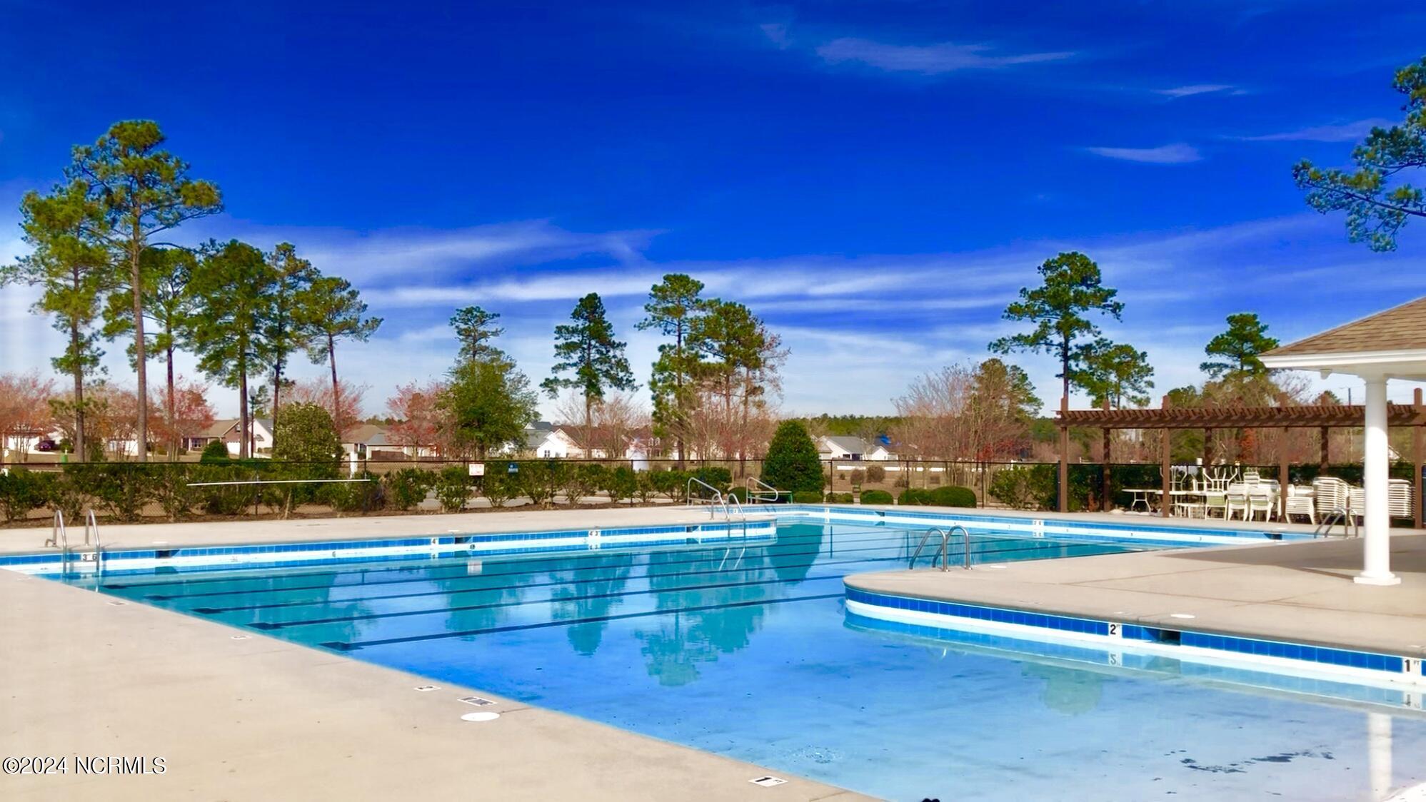 1824 Olive Pine Way Leland, NC 28451 - Photo 65 of 66 WP Pool