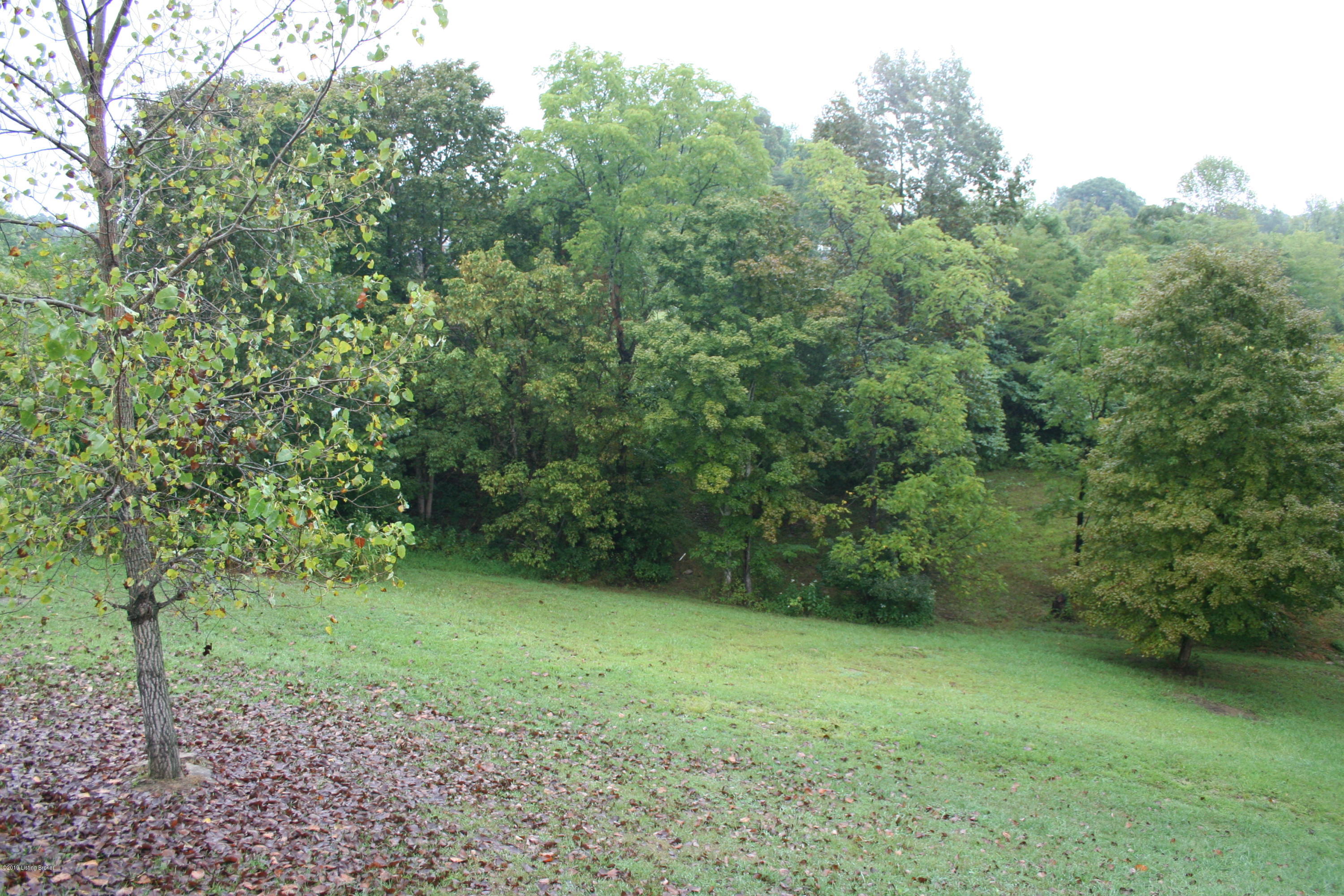 12514 Bald Knob Road Frankfort, KY 40601 - Photo 52 of 61 67