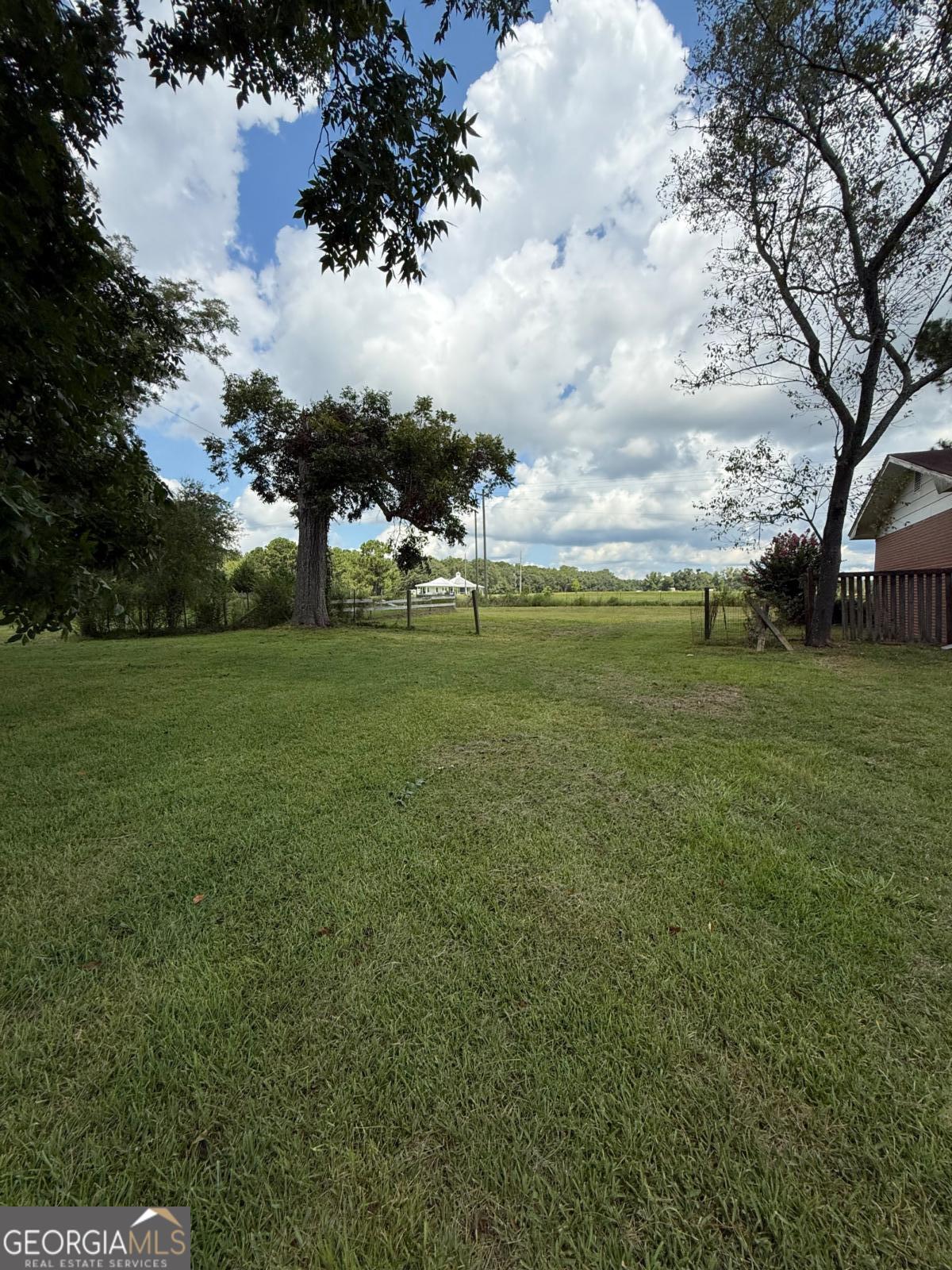 221 Rentz Bridge Road Lenox, GA 31637 - Photo 16 of 19 a big yard with lots of green space