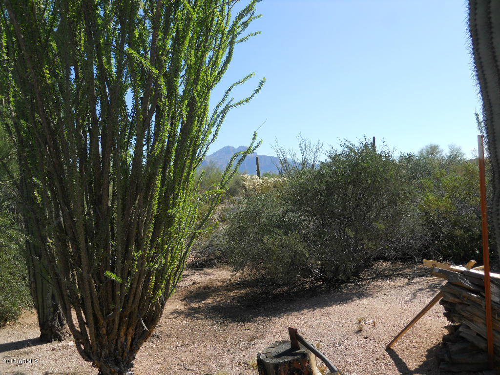 4725 North Wolverine Pass Road Apache Junction, AZ 85119 - Photo 15 of 20 Wolverine Pass Johnson 020